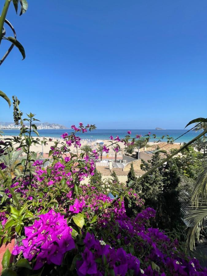 Apartamentos Bahia Benidorm Dış mekan fotoğraf